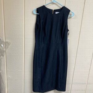 Calvin Klein Dress Sleeveless Women's 6